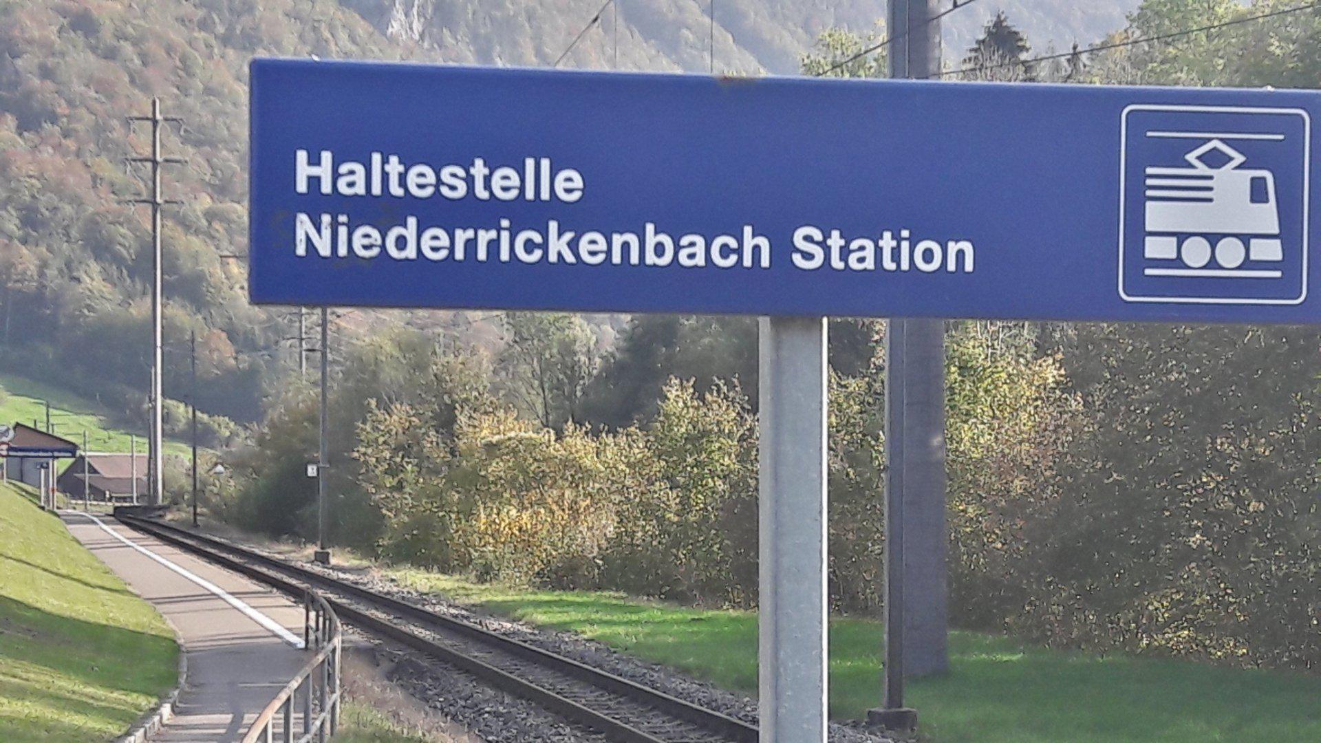 Niederrickenbach Station